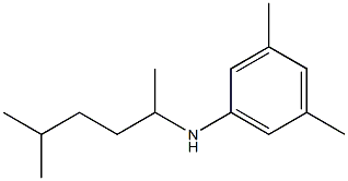 3,5-dimethyl-N-(5-methylhexan-2-yl)aniline 结构式