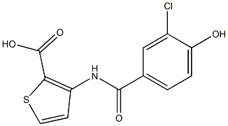 3-[(3-chloro-4-hydroxybenzene)amido]thiophene-2-carboxylic acid 结构式