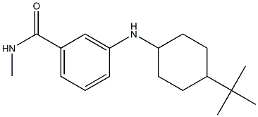 3-[(4-tert-butylcyclohexyl)amino]-N-methylbenzamide 结构式