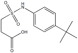 3-[(4-tert-butylphenyl)sulfamoyl]propanoic acid 结构式