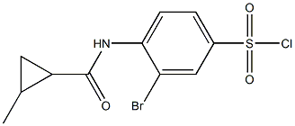 3-bromo-4-[(2-methylcyclopropane)amido]benzene-1-sulfonyl chloride 结构式