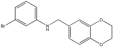 3-bromo-N-(2,3-dihydro-1,4-benzodioxin-6-ylmethyl)aniline 结构式