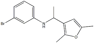 3-bromo-N-[1-(2,5-dimethylfuran-3-yl)ethyl]aniline 结构式