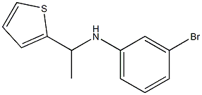 3-bromo-N-[1-(thiophen-2-yl)ethyl]aniline 结构式