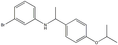 3-bromo-N-{1-[4-(propan-2-yloxy)phenyl]ethyl}aniline 结构式