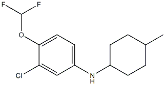 3-chloro-4-(difluoromethoxy)-N-(4-methylcyclohexyl)aniline 结构式