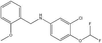 3-chloro-4-(difluoromethoxy)-N-[(2-methoxyphenyl)methyl]aniline 结构式