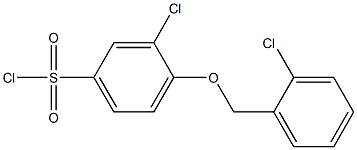 3-chloro-4-[(2-chlorophenyl)methoxy]benzene-1-sulfonyl chloride 结构式