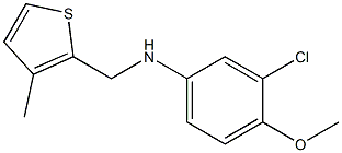 3-chloro-4-methoxy-N-[(3-methylthiophen-2-yl)methyl]aniline 结构式