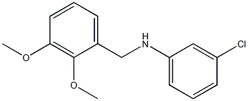 3-chloro-N-[(2,3-dimethoxyphenyl)methyl]aniline 结构式