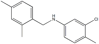 3-chloro-N-[(2,4-dimethylphenyl)methyl]-4-methylaniline 结构式