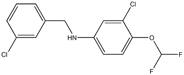 3-chloro-N-[(3-chlorophenyl)methyl]-4-(difluoromethoxy)aniline 结构式