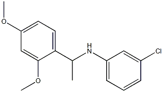 3-chloro-N-[1-(2,4-dimethoxyphenyl)ethyl]aniline 结构式