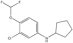 3-chloro-N-cyclopentyl-4-(difluoromethoxy)aniline 结构式