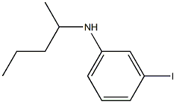 3-iodo-N-(pentan-2-yl)aniline 结构式