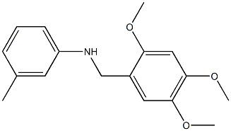 3-methyl-N-[(2,4,5-trimethoxyphenyl)methyl]aniline 结构式