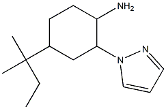 4-(1,1-dimethylpropyl)-2-(1H-pyrazol-1-yl)cyclohexanamine 结构式