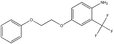 4-(2-phenoxyethoxy)-2-(trifluoromethyl)aniline 结构式