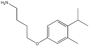 4-(4-aminobutoxy)-2-methyl-1-(propan-2-yl)benzene 结构式