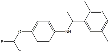 4-(difluoromethoxy)-N-[1-(2,5-dimethylphenyl)ethyl]aniline 结构式