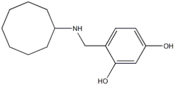 4-[(cyclooctylamino)methyl]benzene-1,3-diol 结构式