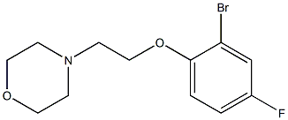 4-[2-(2-bromo-4-fluorophenoxy)ethyl]morpholine 结构式