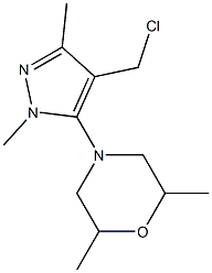 4-[4-(chloromethyl)-1,3-dimethyl-1H-pyrazol-5-yl]-2,6-dimethylmorpholine 结构式