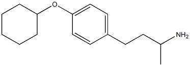 4-[4-(cyclohexyloxy)phenyl]butan-2-amine 结构式
