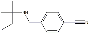 4-{[(2-methylbutan-2-yl)amino]methyl}benzonitrile 结构式