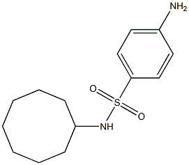 4-amino-N-cyclooctylbenzene-1-sulfonamide 结构式