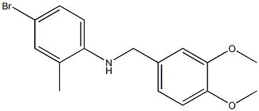 4-bromo-N-[(3,4-dimethoxyphenyl)methyl]-2-methylaniline 结构式