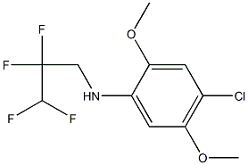 4-chloro-2,5-dimethoxy-N-(2,2,3,3-tetrafluoropropyl)aniline 结构式