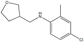 4-chloro-2-methyl-N-(oxolan-3-ylmethyl)aniline 结构式