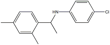 4-chloro-N-[1-(2,4-dimethylphenyl)ethyl]aniline 结构式