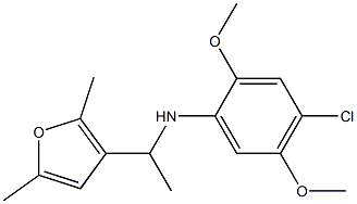 4-chloro-N-[1-(2,5-dimethylfuran-3-yl)ethyl]-2,5-dimethoxyaniline 结构式