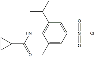 4-cyclopropaneamido-3-methyl-5-(propan-2-yl)benzene-1-sulfonyl chloride 结构式