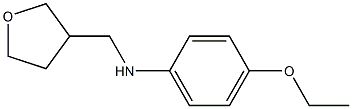 4-ethoxy-N-(oxolan-3-ylmethyl)aniline 结构式