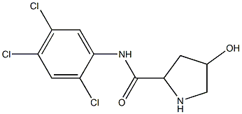 4-hydroxy-N-(2,4,5-trichlorophenyl)pyrrolidine-2-carboxamide 结构式