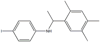 4-iodo-N-[1-(2,4,5-trimethylphenyl)ethyl]aniline 结构式