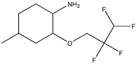 4-methyl-2-(2,2,3,3-tetrafluoropropoxy)cyclohexan-1-amine 结构式