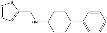 4-phenyl-N-(thiophen-2-ylmethyl)cyclohexan-1-amine 结构式