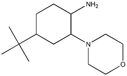 4-tert-butyl-2-morpholin-4-ylcyclohexanamine 结构式