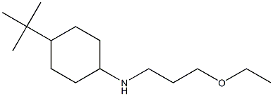 4-tert-butyl-N-(3-ethoxypropyl)cyclohexan-1-amine 结构式