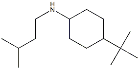 4-tert-butyl-N-(3-methylbutyl)cyclohexan-1-amine 结构式