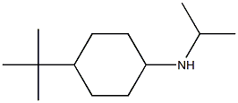 4-tert-butyl-N-(propan-2-yl)cyclohexan-1-amine 结构式