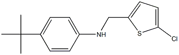4-tert-butyl-N-[(5-chlorothiophen-2-yl)methyl]aniline 结构式