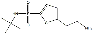 5-(2-aminoethyl)-N-(tert-butyl)thiophene-2-sulfonamide 结构式