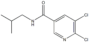 5,6-dichloro-N-(2-methylpropyl)pyridine-3-carboxamide 结构式