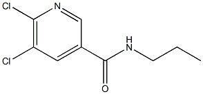 5,6-dichloro-N-propylpyridine-3-carboxamide 结构式