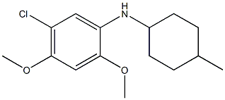 5-chloro-2,4-dimethoxy-N-(4-methylcyclohexyl)aniline 结构式